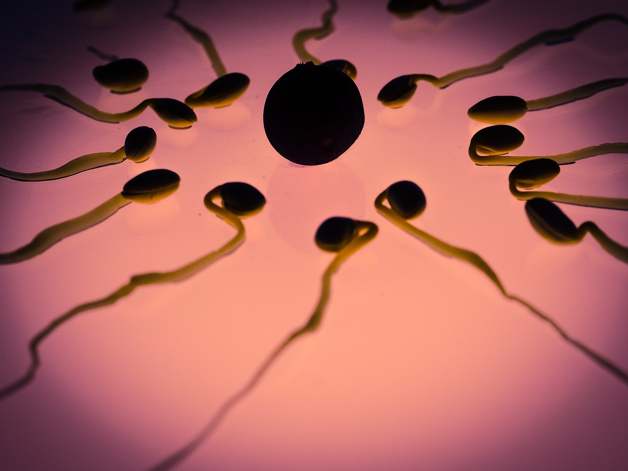 Cateva lucruri surprinzatoare despre ovulatie